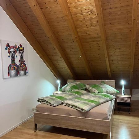 Ferienwohnung Zentral In Loerrach - Konus Gaestekarte Inklusive Экстерьер фото