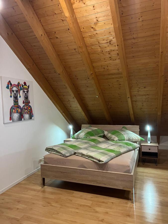 Ferienwohnung Zentral In Loerrach - Konus Gaestekarte Inklusive Экстерьер фото